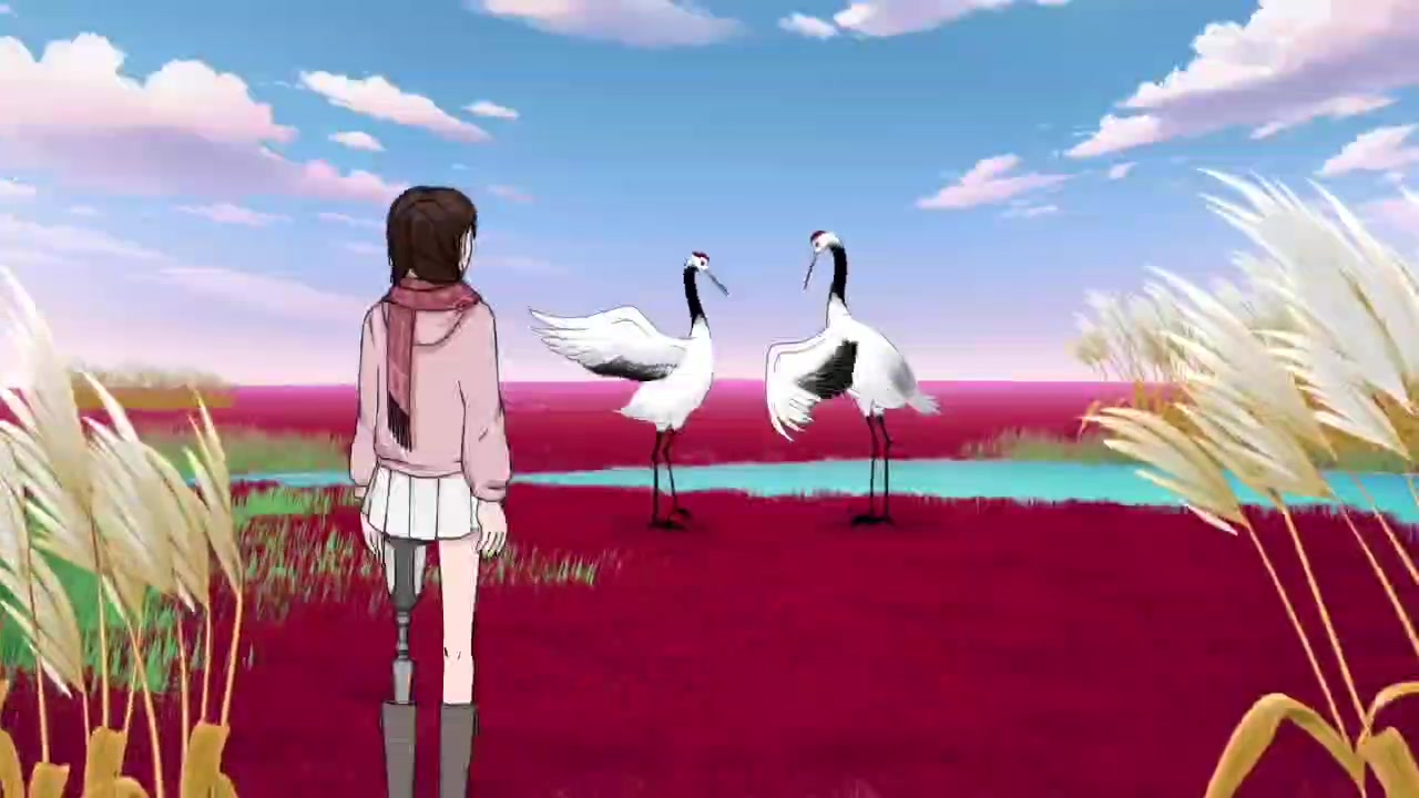盐城湿地自然保护区宣传片