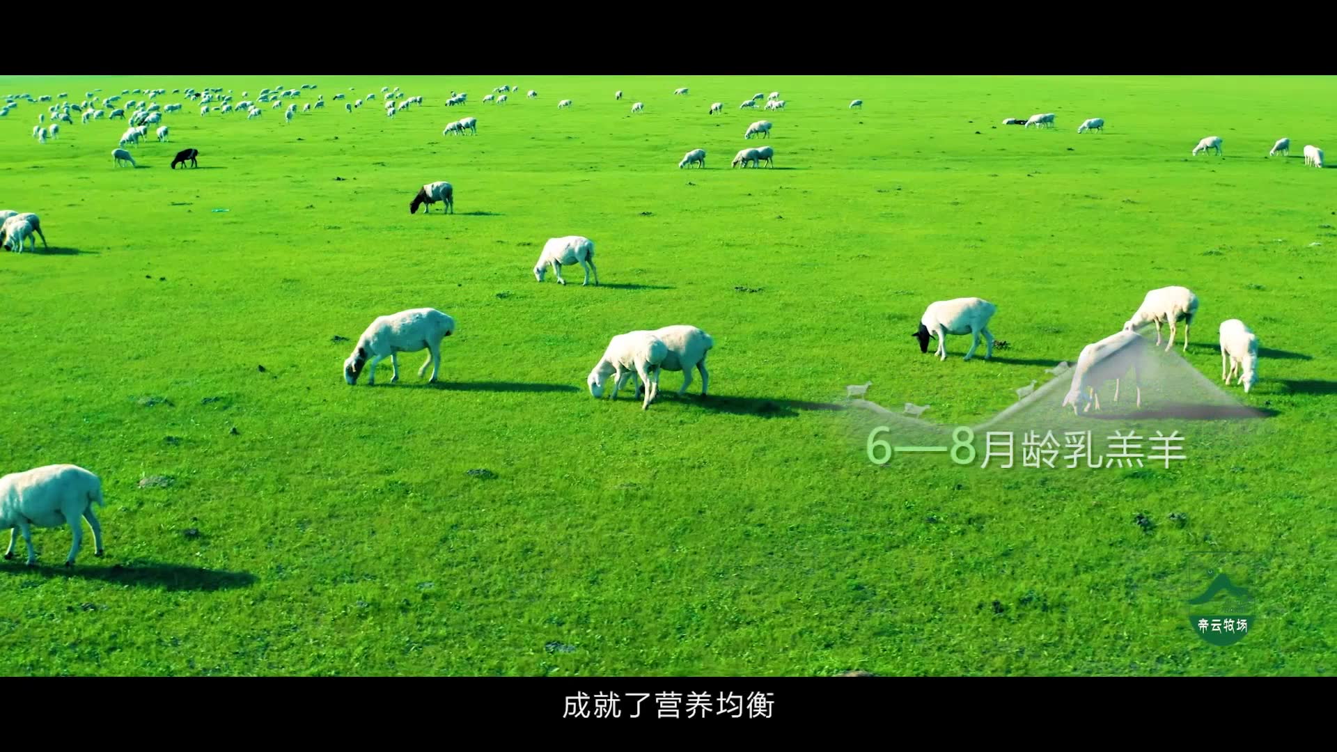 帝云牧场宣传片